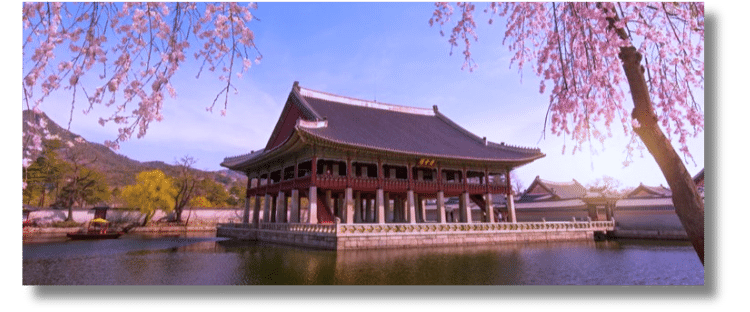 Dịch vụ Mua hàng Hàn Quốc giá rẻ